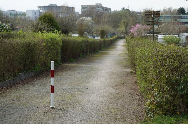 Überblick des Kleingartenvereins