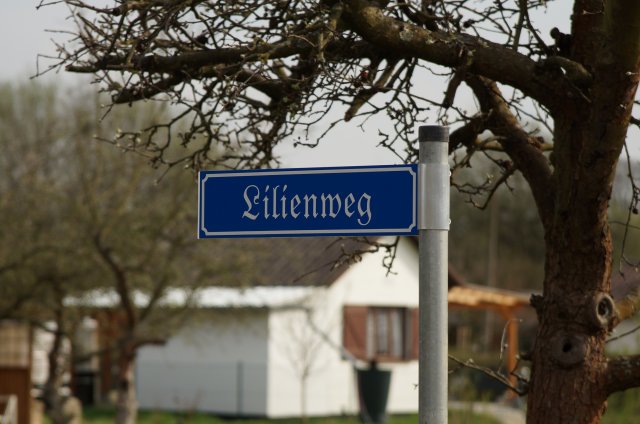 Überblick des Kleingartenvereins