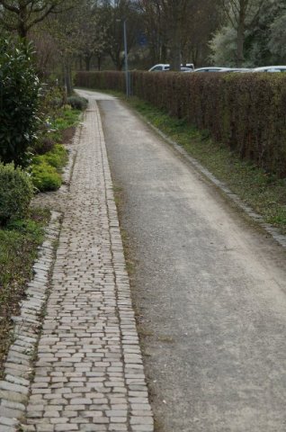 Überblick des Kleingartenvereins