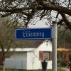 Überblick des Kleingartenvereins